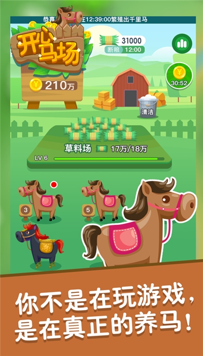 开心马场游戏