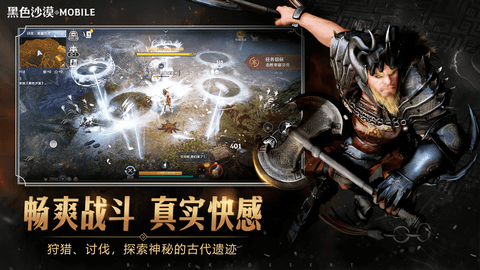 黑色沙漠游戏