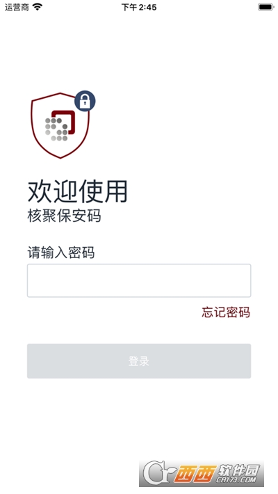 核聚保安码游戏