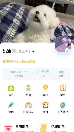 述宠APP