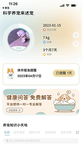 述宠APP