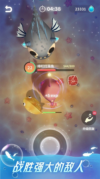 不可思议的进化游戏