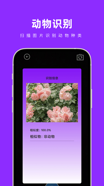 奇妙扫扫箱APP