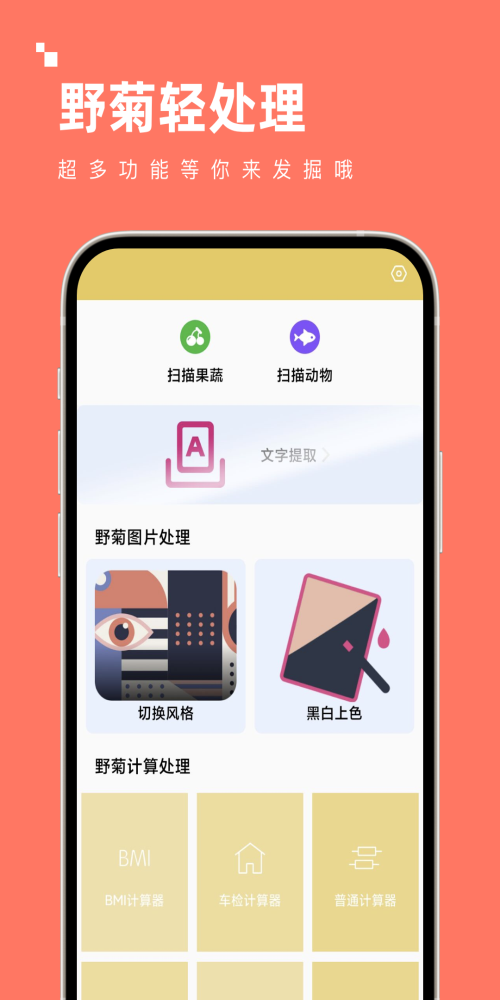 野菊轻处理APP