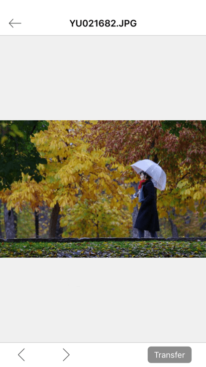 理光imagesync官方APP
