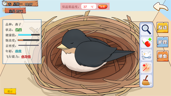 鸟巢游戏