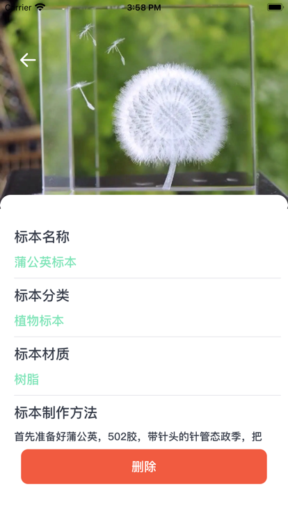 春阳标本免费版APP