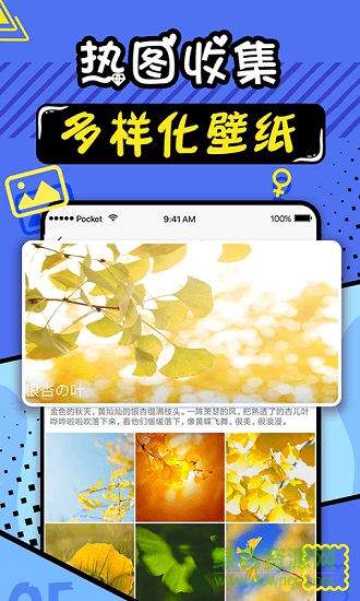 趣彩壁纸APP