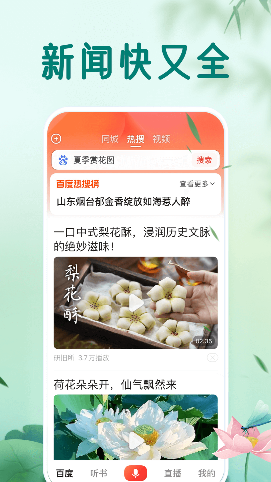 百度大字极速版APP