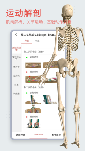 3Dbody解剖学APP