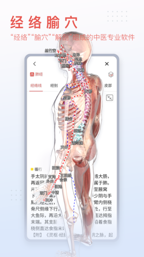 3Dbody解剖学APP