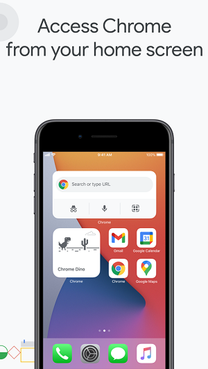 谷歌浏览器中文版APP