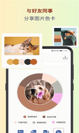 色采手机版APP