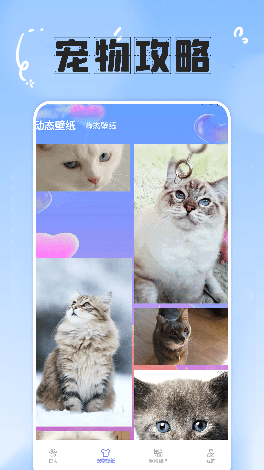 简喵大师手机官方版APP