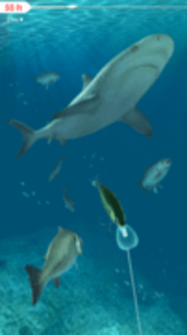 拉帕拉钓鱼游戏