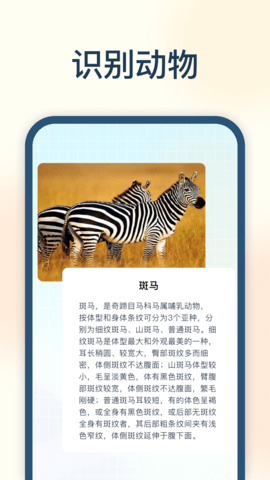 试卷星识别APP
