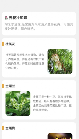 百花悦看APP