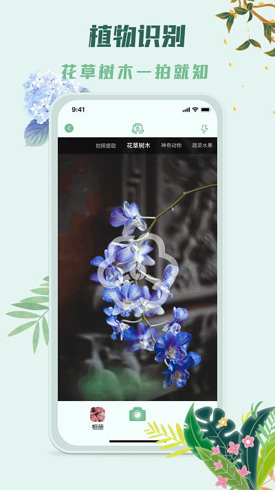 识花君植物识别appAPP