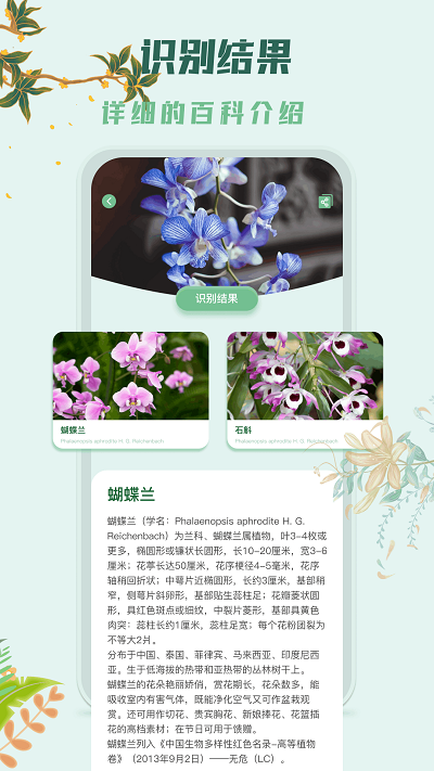 识花君植物识别appAPP