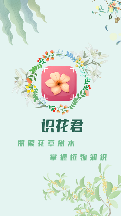 识花君植物识别appAPP