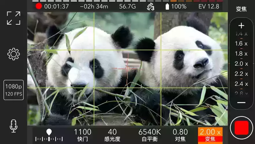 promovie专业相机APP
