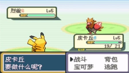 口袋妖怪圣灰修改器版游戏