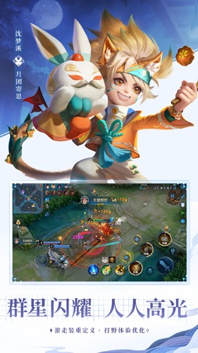 王者荣耀去图APP
