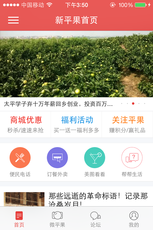 新平果网
