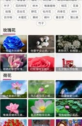 哇图库免费APP