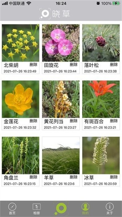 晓草APP