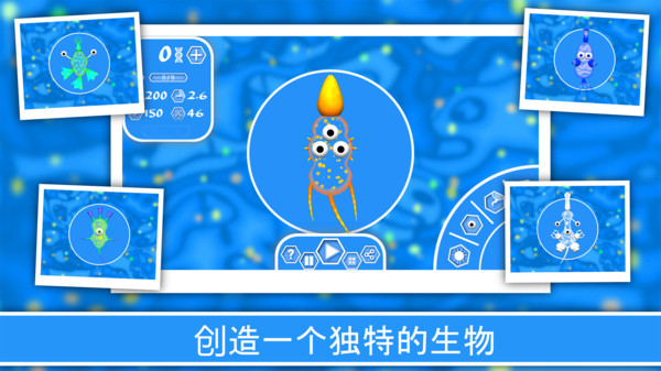 孢子游戏
