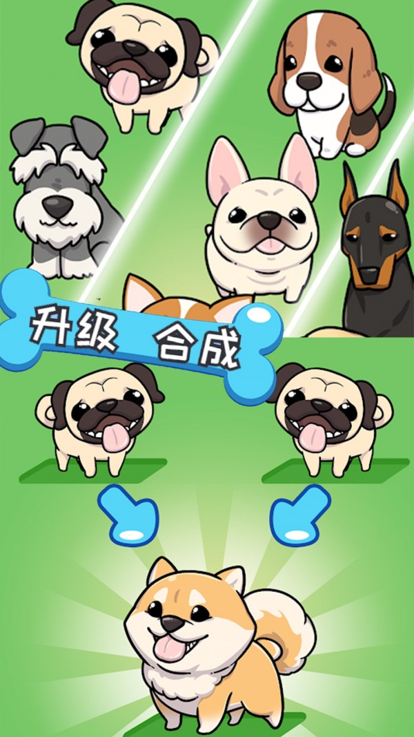 哈士奇萌宠屋游戏