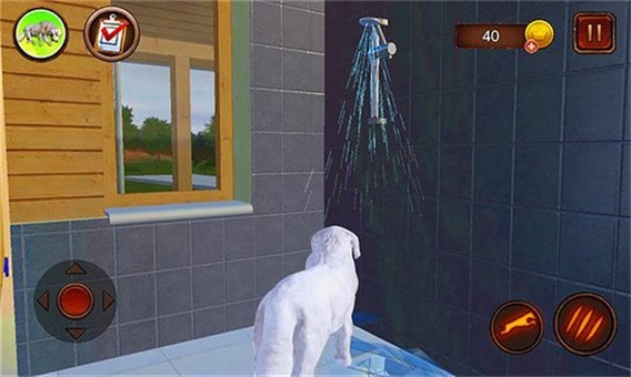 塔特拉牧羊犬模拟器游戏