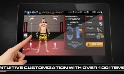 MMA格斗 第3张图