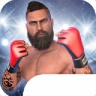 MMA格斗