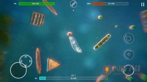 Bionix孢子的开始 第1张图
