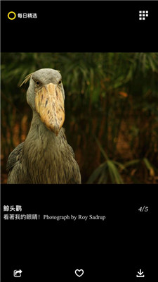 每日精选手机版APP