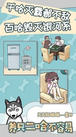 养只二哈不容易 第1张图