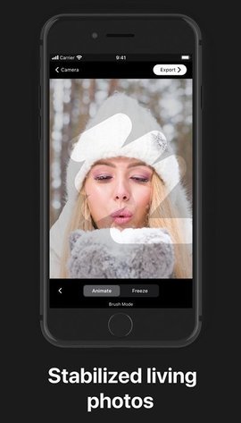 loopsieAPP