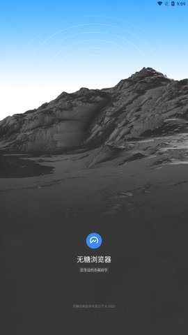 无糖浏览器官方版APP