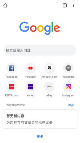 谷歌浏览器APP
