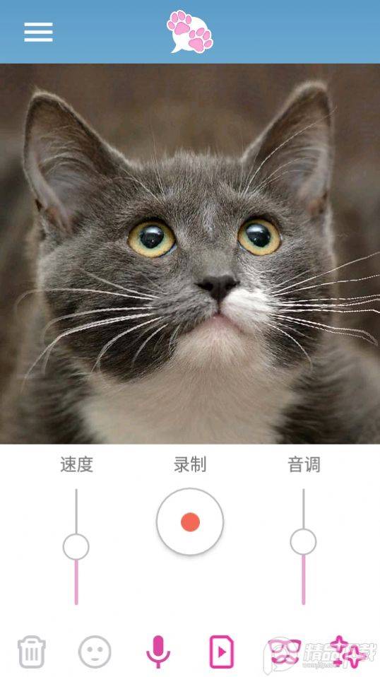 我的宠物会说话专业版 第1张图