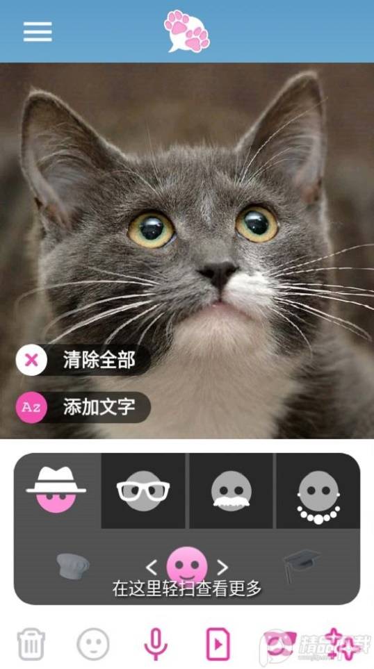 我的宠物会说话专业版APP