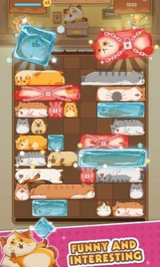 猫猫安全滑动拼图 第1张图