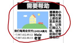 小菠的午夜后宫游戏