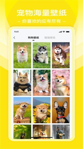 普锐动物翻译工具APP