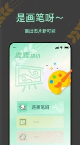 麦麦相机 第1张图