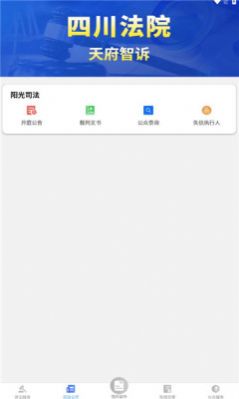 天府智诉平台 第1张图