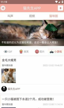 博猫管家 第1张图