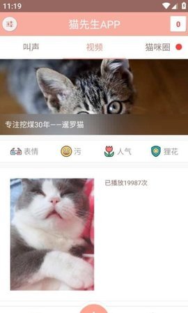 博猫管家APP
